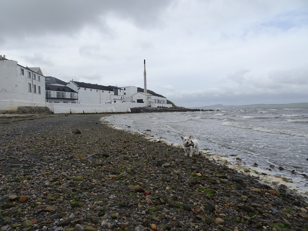 poppysocks at Bowmore Distillery