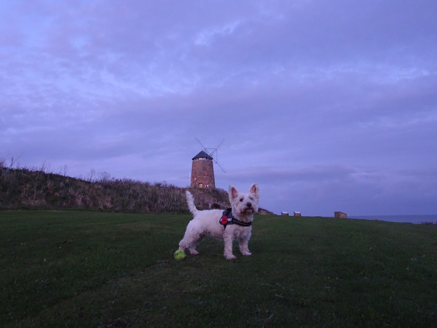 Fife costal walks