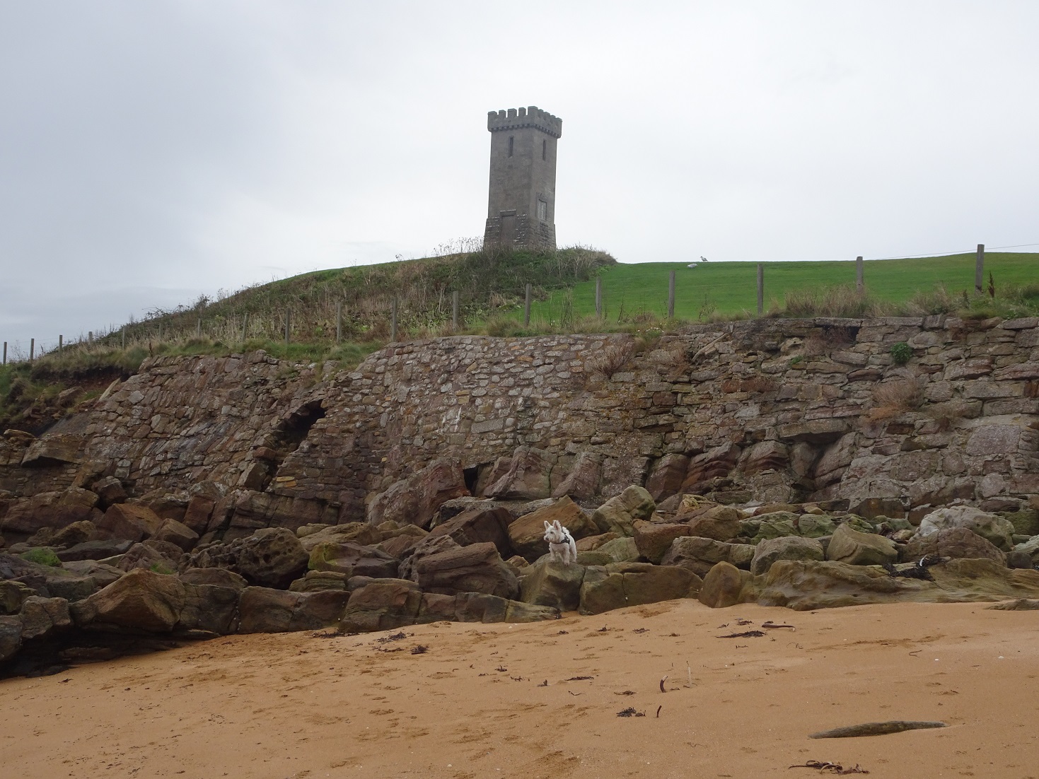 Fife costal walks