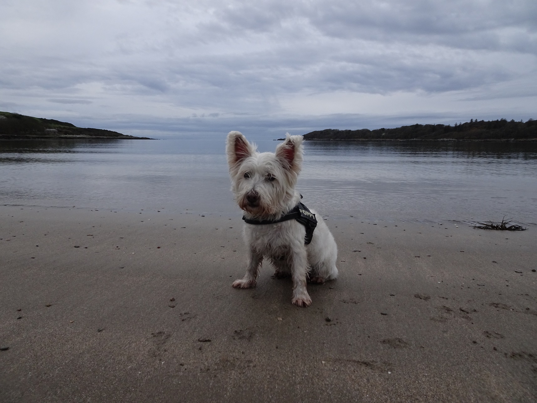 Three beaches and a castle