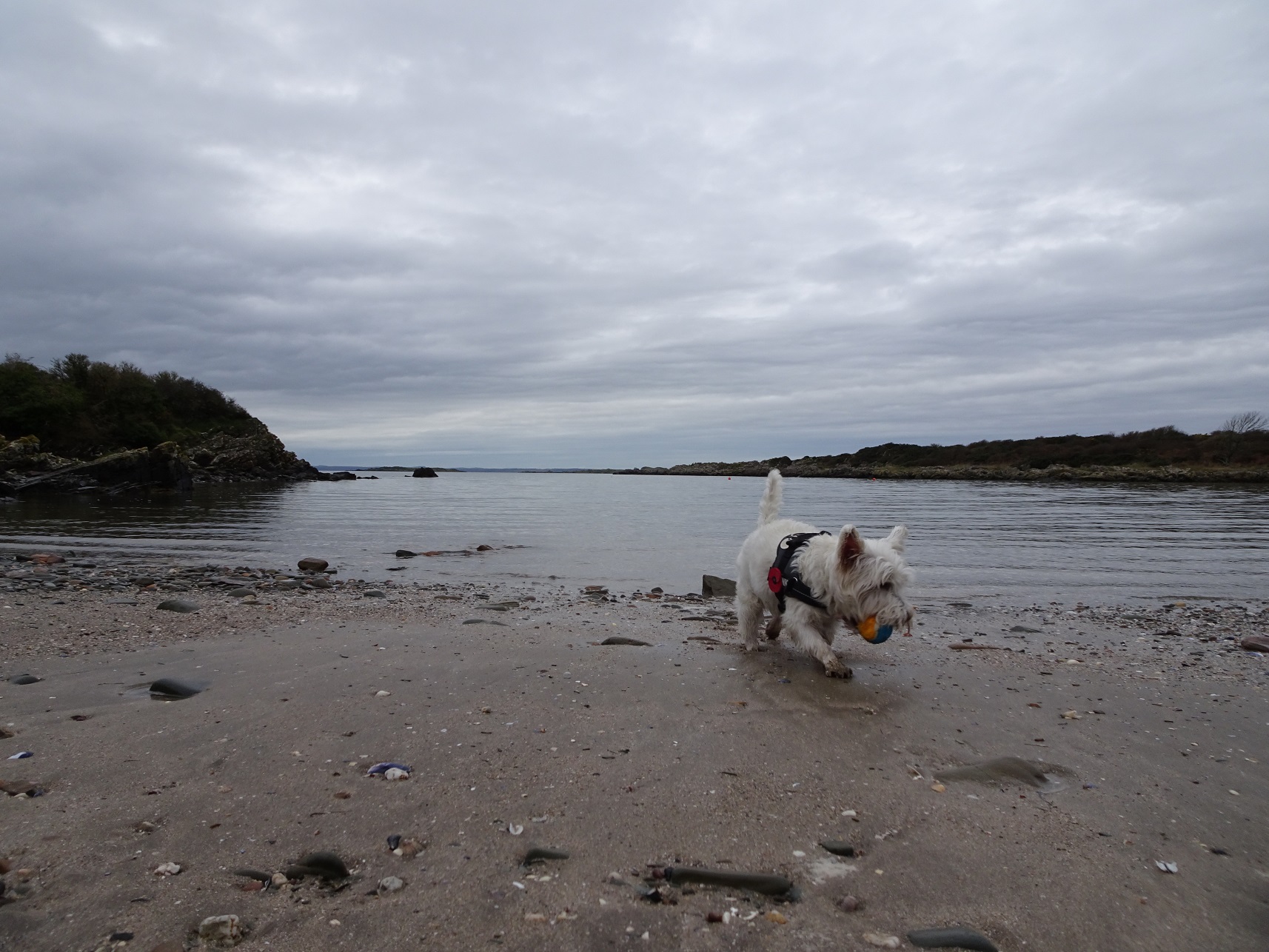 Three beaches and a castle