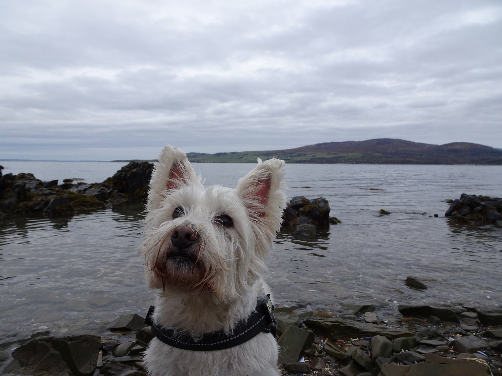 Three beaches and a castle