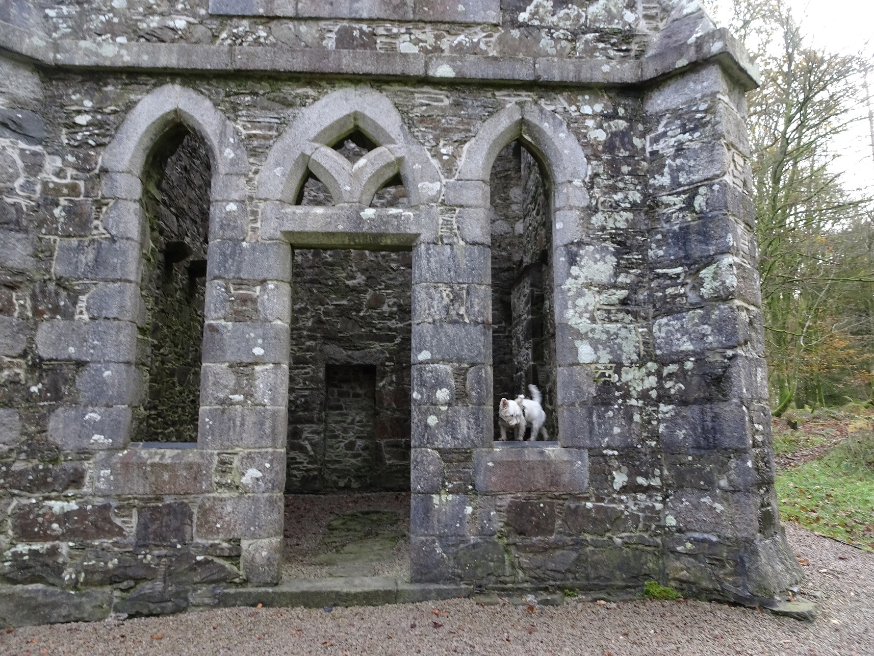 Temples and muddy paws