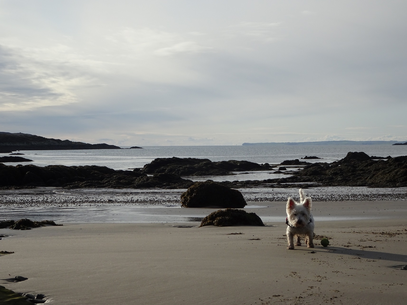 Temples and muddy paws