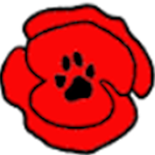 poppyfin5 poppyfin5