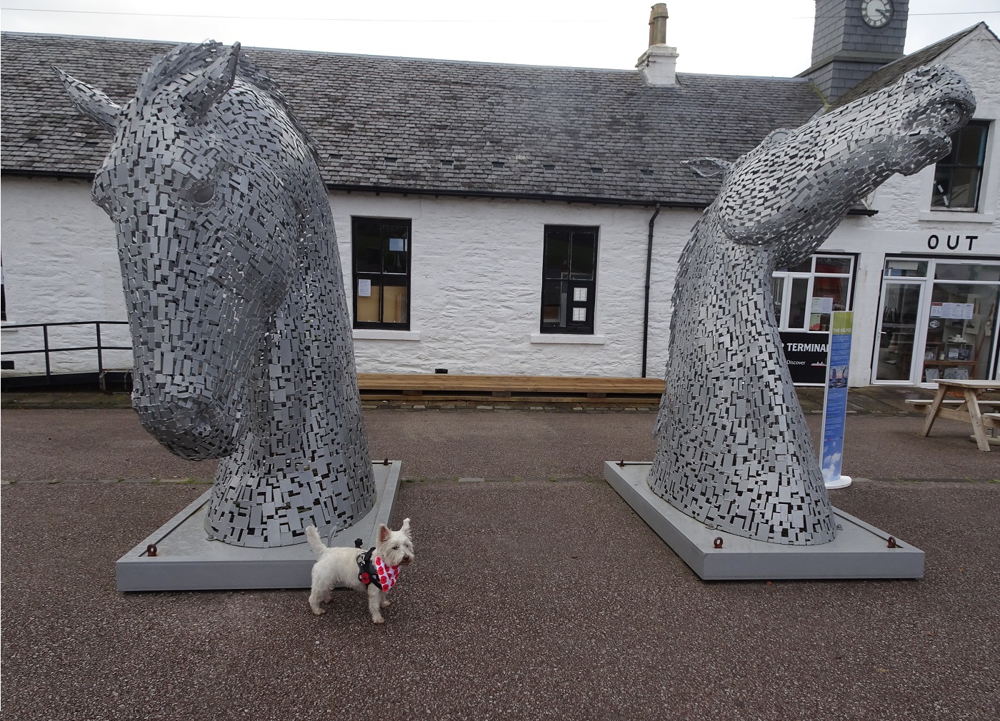 these kelpies dont move