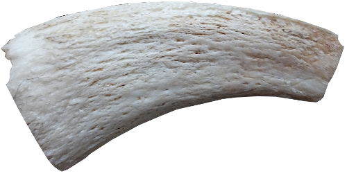 buf1 buf1