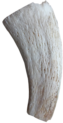 buf5 buf5