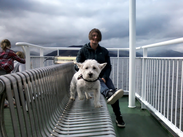 poppy the westie on the Dunnon ferry on the clyde