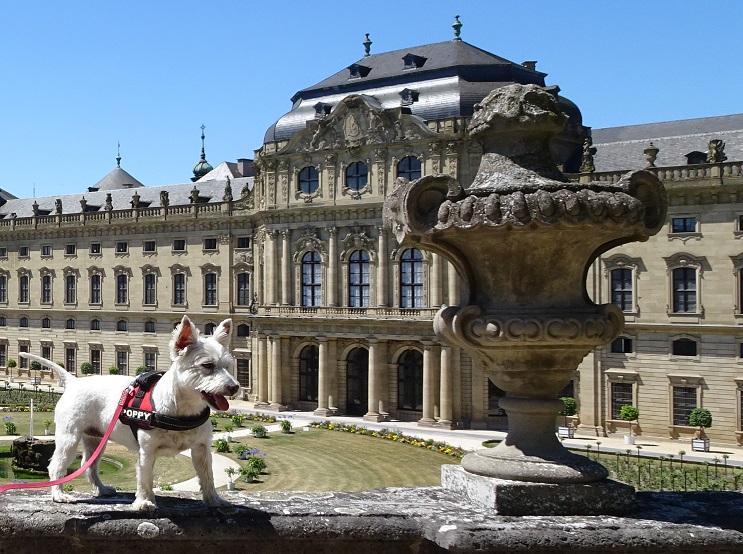 poppy the westie with Wurzburg Palice in the background.