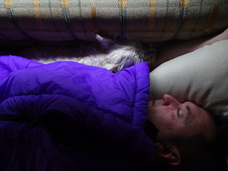 poppy the westie and dad sleeping in betsy