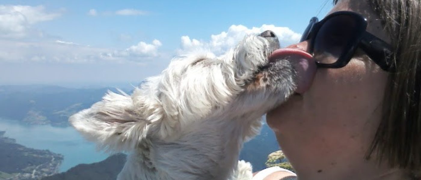 Mountains and bangs, Gott in himmel! A westie