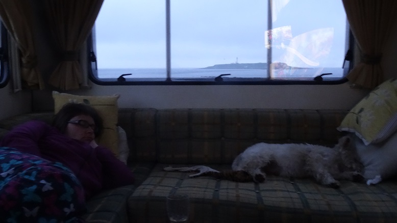poppy the westie going for a snooze in Betsy the motor home on arran with island in the back window