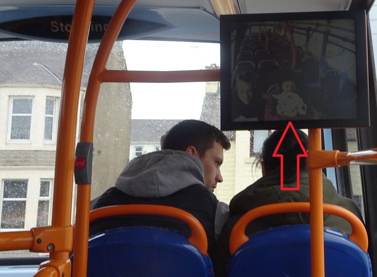 Poppy the westie on TV in a double decker bus