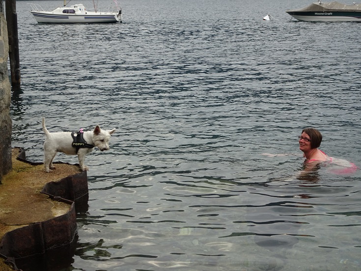 poppy the westie and mum in lake