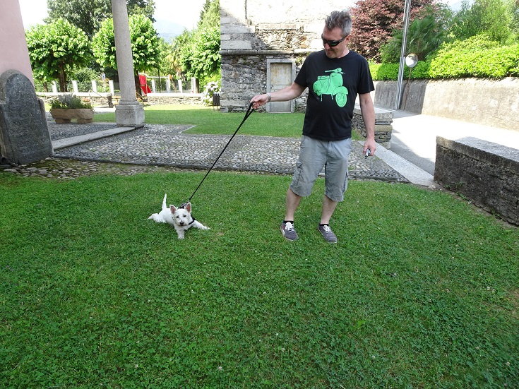  poppy the westie being dragged at Pettenasco Church yard