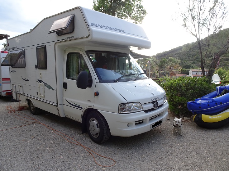 poppy the westie gaurding Betsy at enfola elba