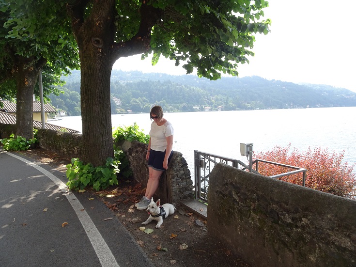 poppy the westie taking a break from the heat at Orta