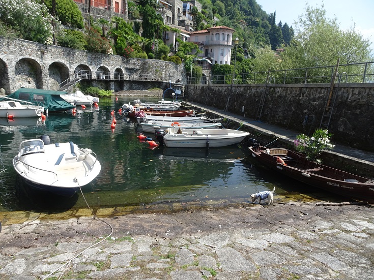 poppysocks checking out the old harbour