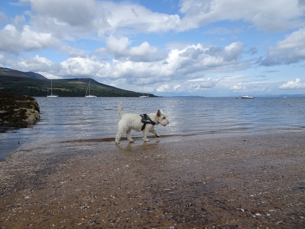 poppysocks at Brodick