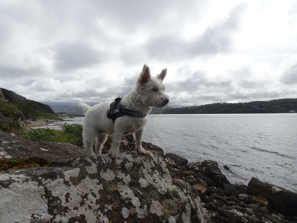 poppysocks at the sound of Jura