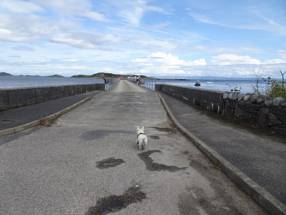 poppysocks exploring Jura