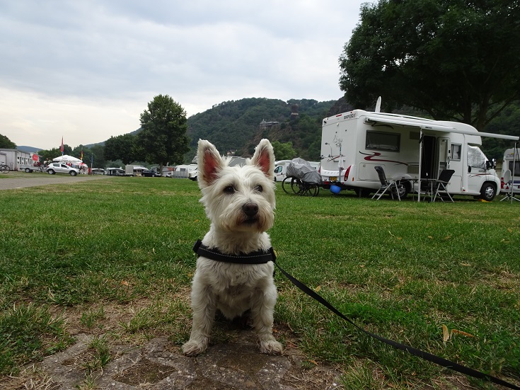 poppysocks in Burgen Germany