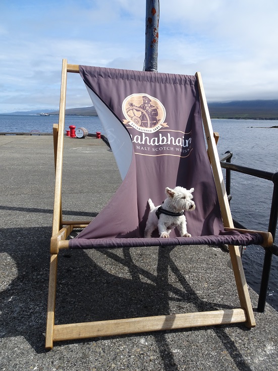 poppysocks on deckchair at bunahabain distillery