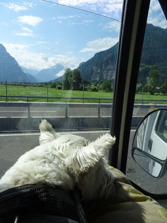 poppysocks traveling through Switzerland