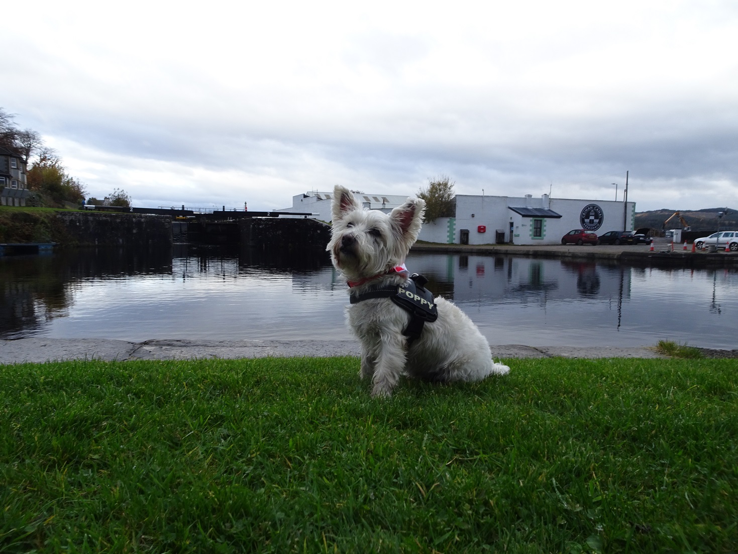 poppysocks at the mouth of the crinan canal