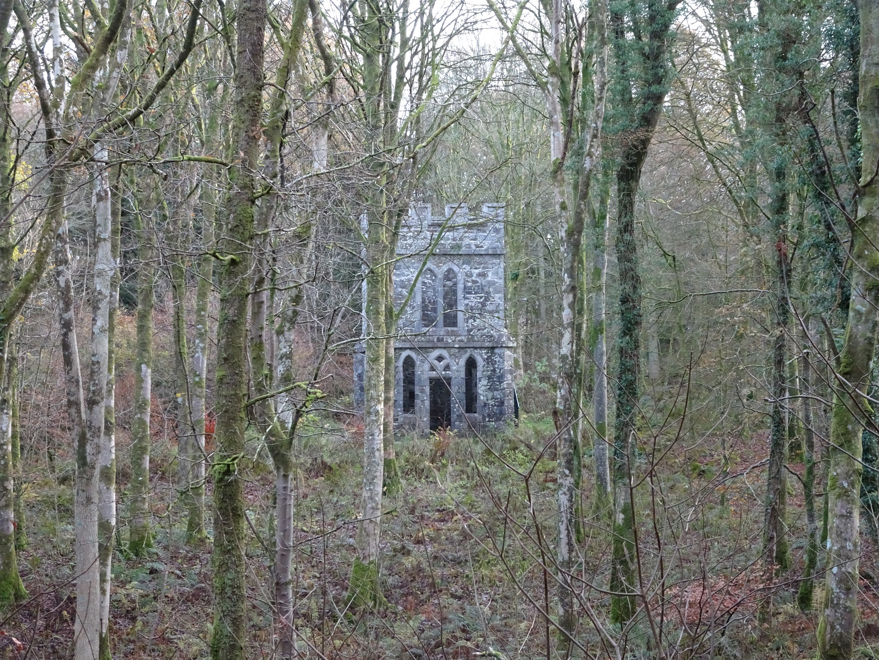 the temple of cally woods