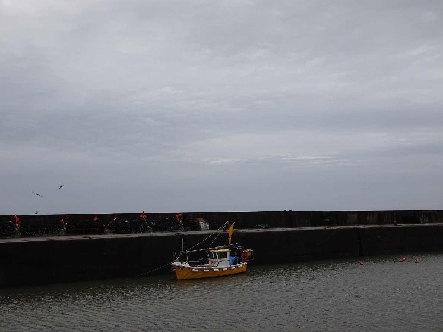 johnshaven harbour