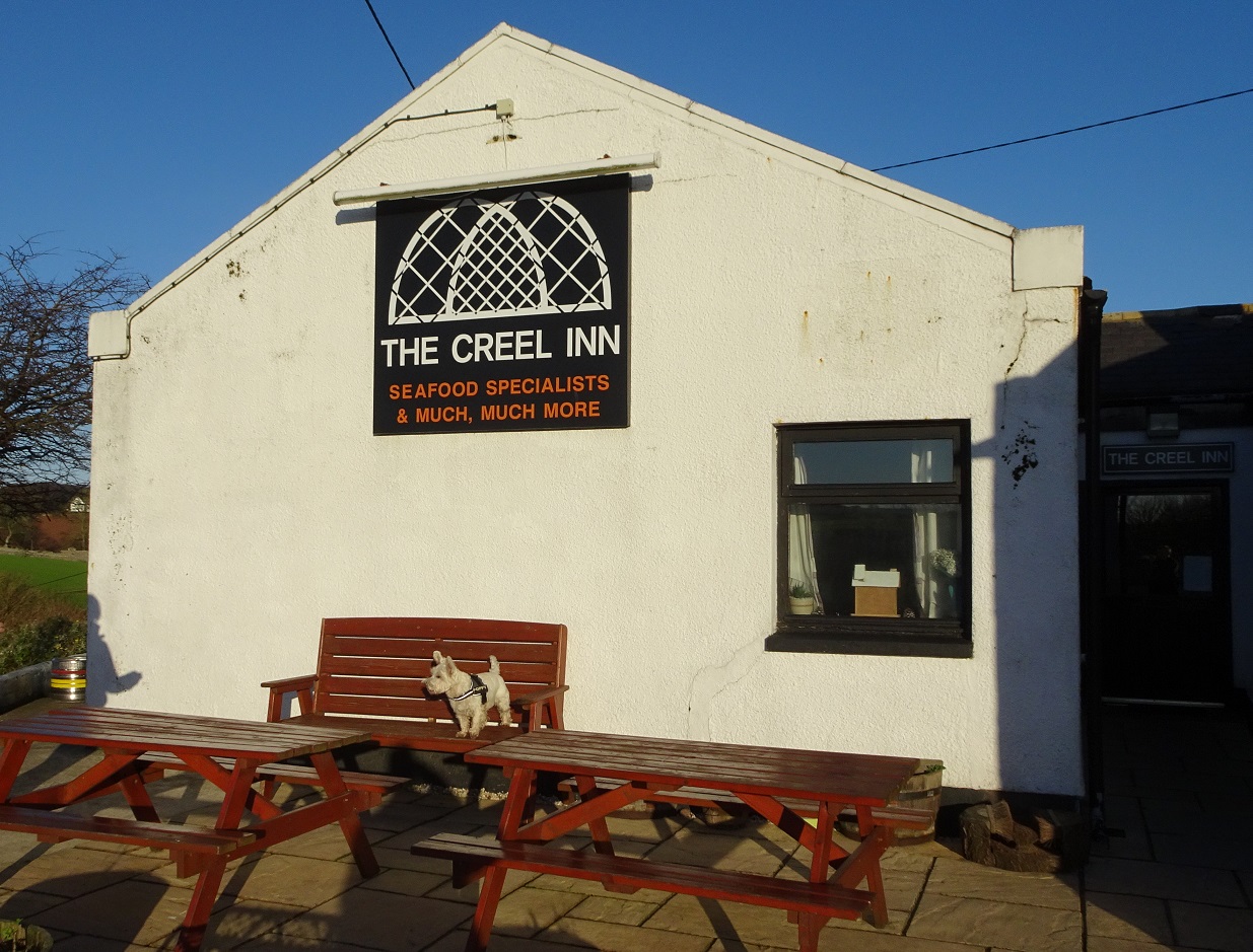 poppy the westie at the Creel Inn