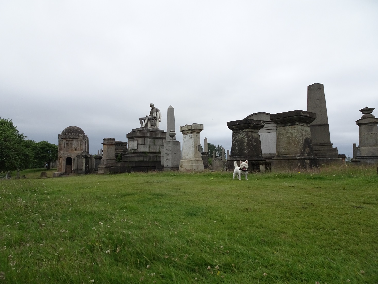 poppy the westie neer tennant grave