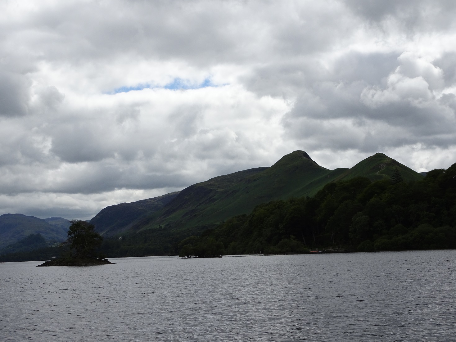 cat bells