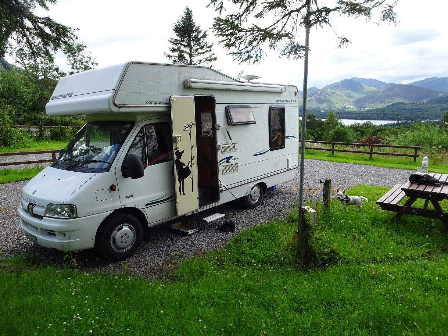 poppy the westie and betsy at Castlerigg Hall Camping Keswick