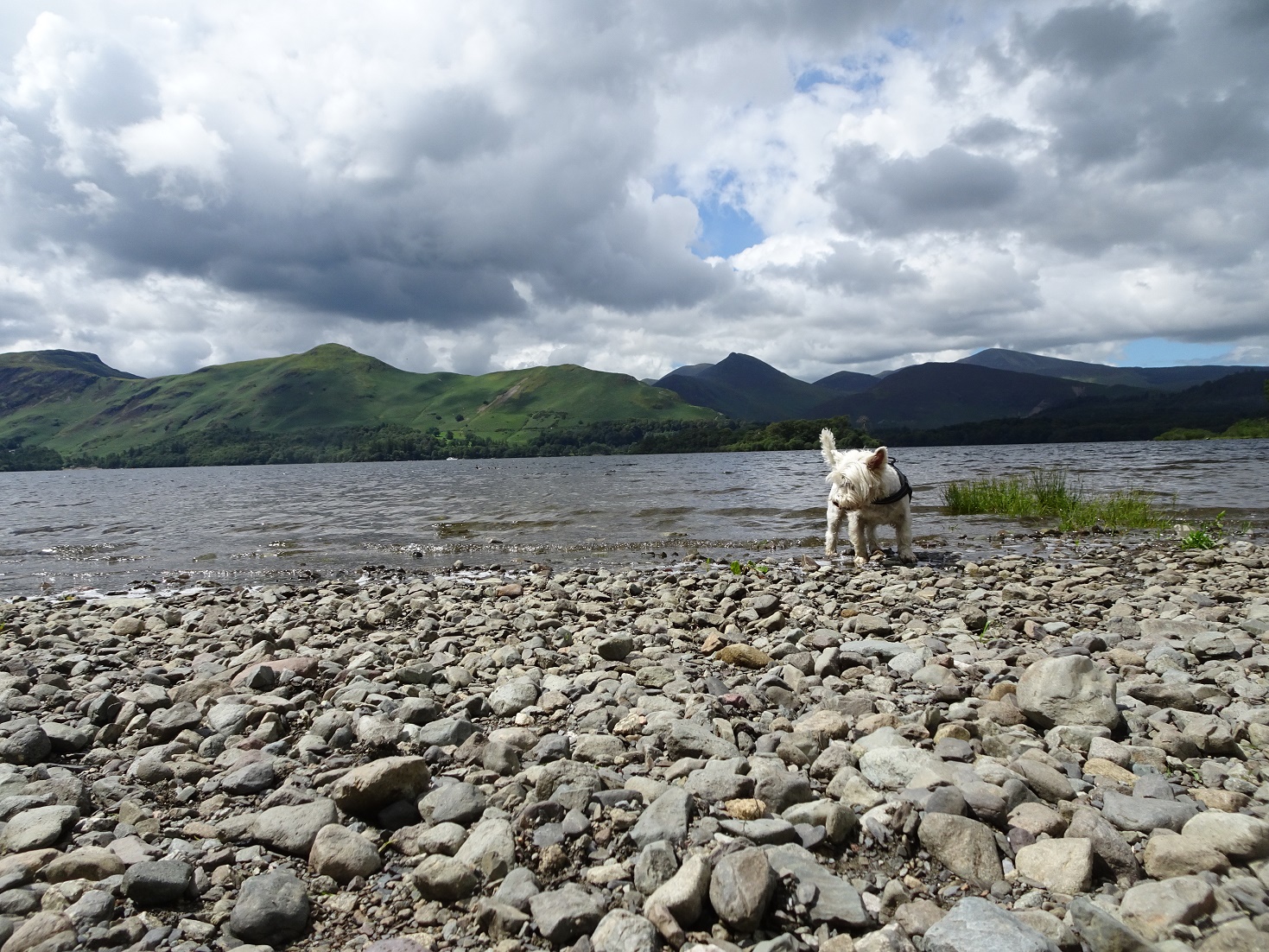 poppysocks at Derwent Water