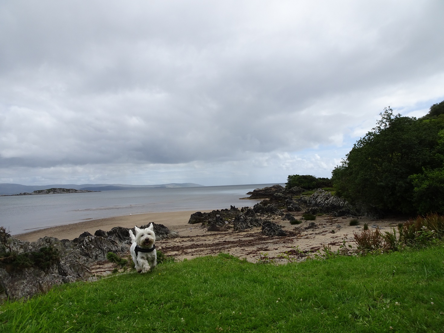 poppysocks at waterfoot