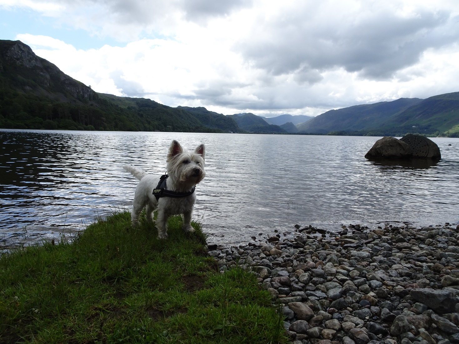 poppysocks next to Derwent Water