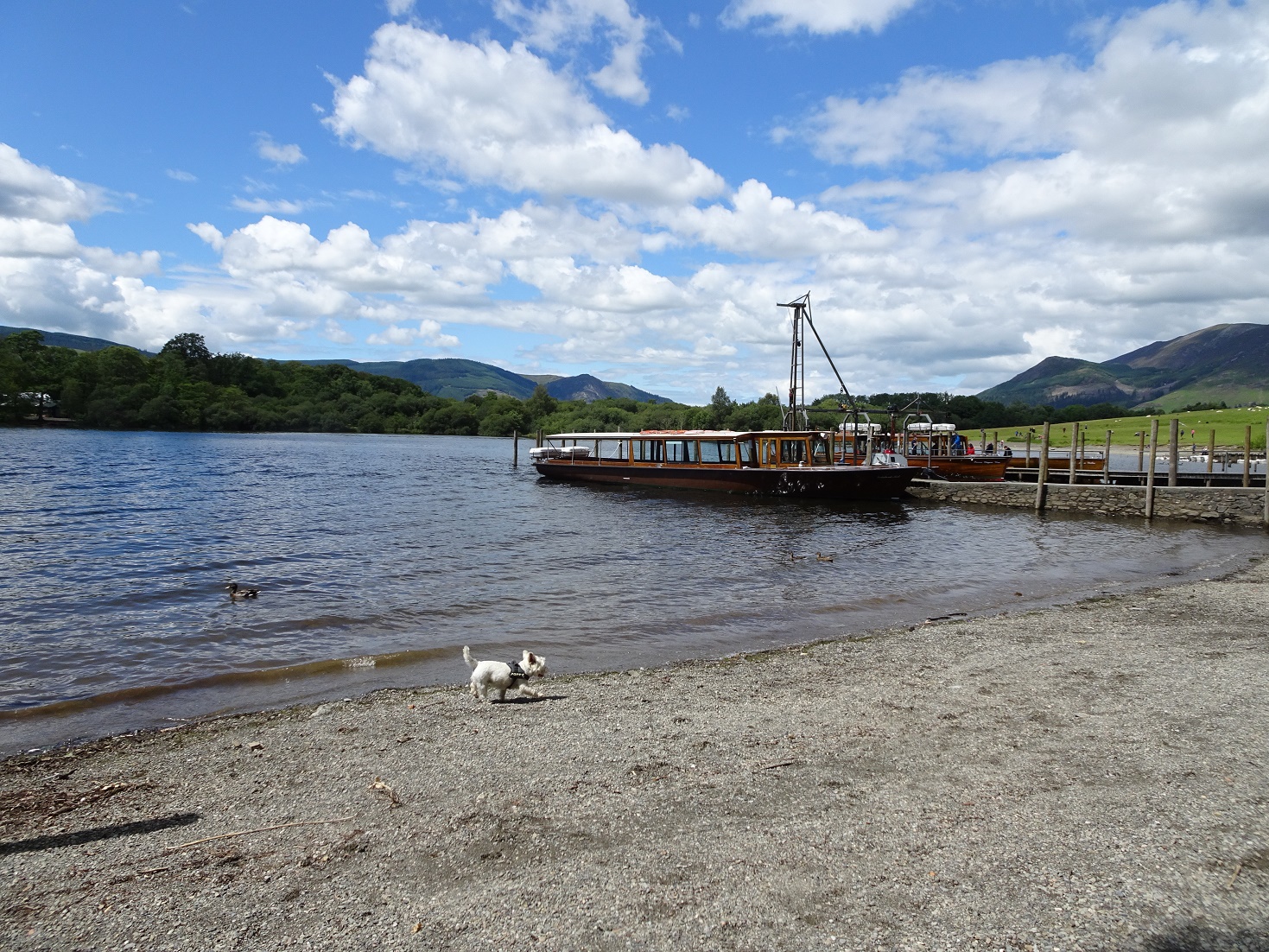 poppysocks on Keswick beach