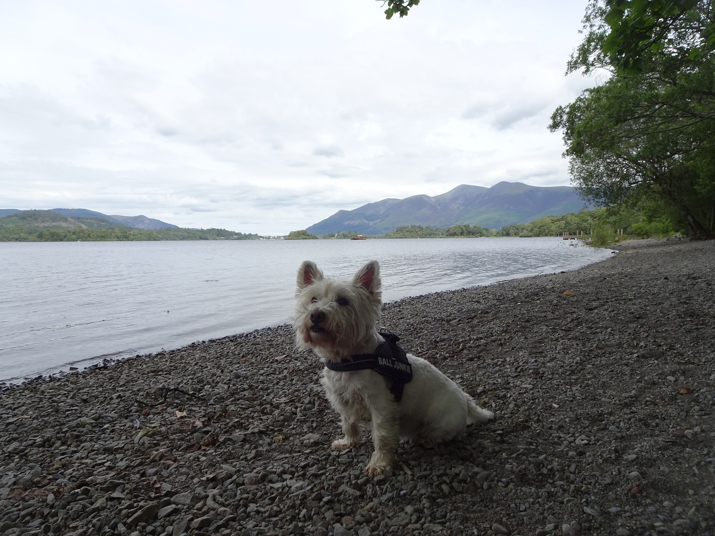 poppysocks on the shore of Derwent Water