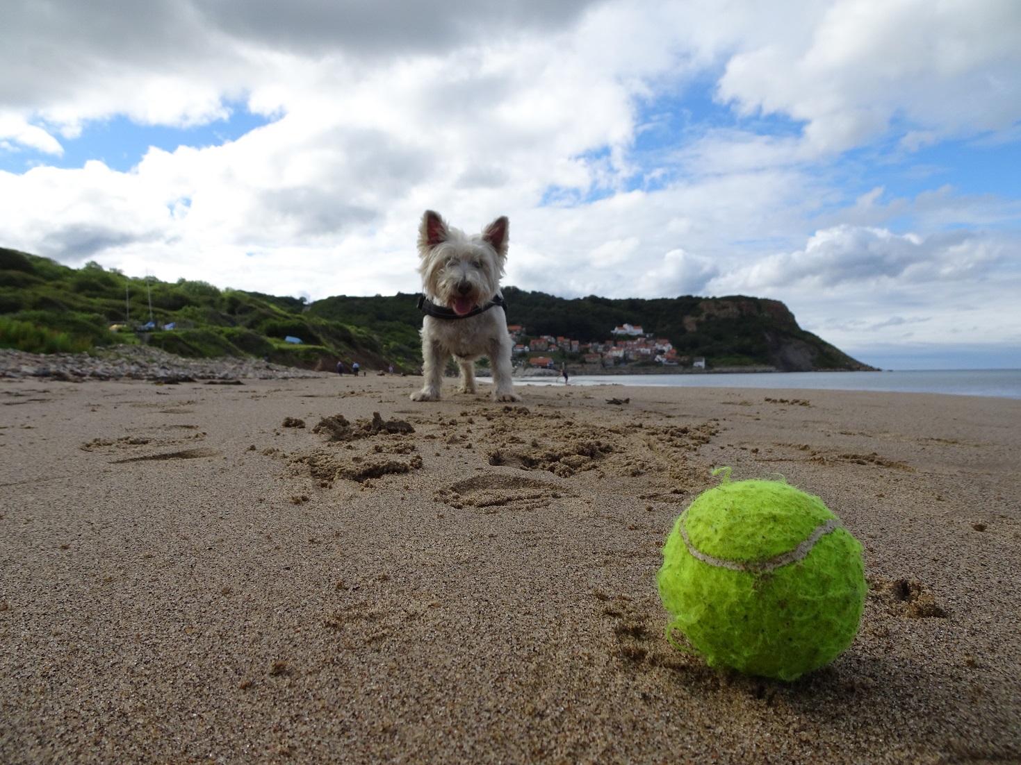 poppysocks with runswick in background