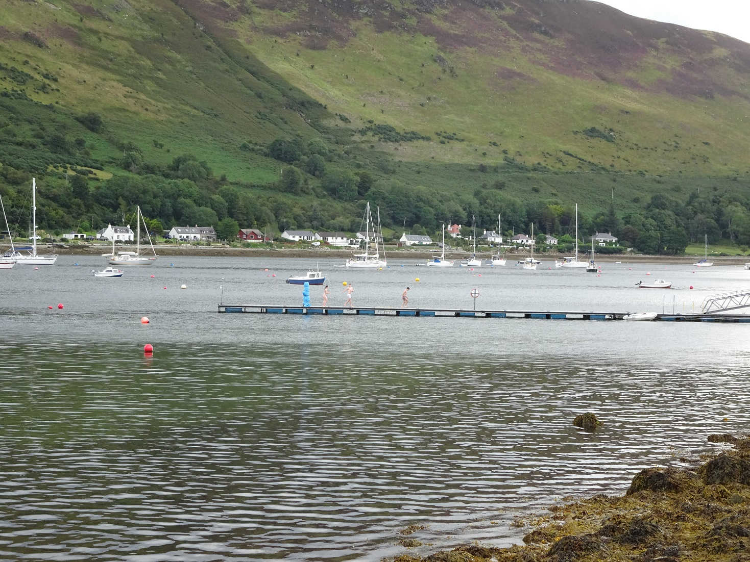 Swimmers at lochranza