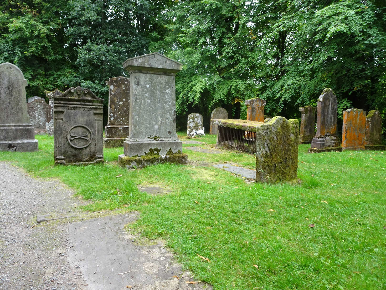 poppy the westie explores the churchyard in Luss