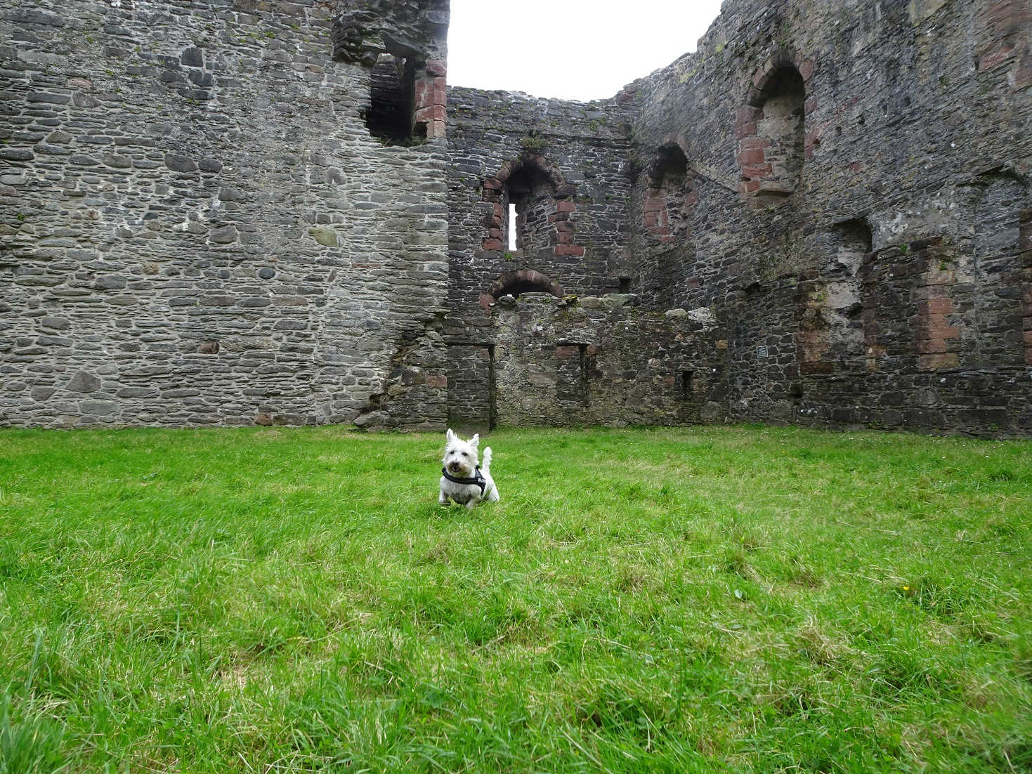 poppysocks at skipness castle