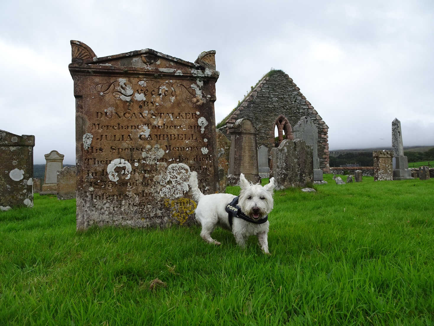 poppysocks at the graveyard skipness