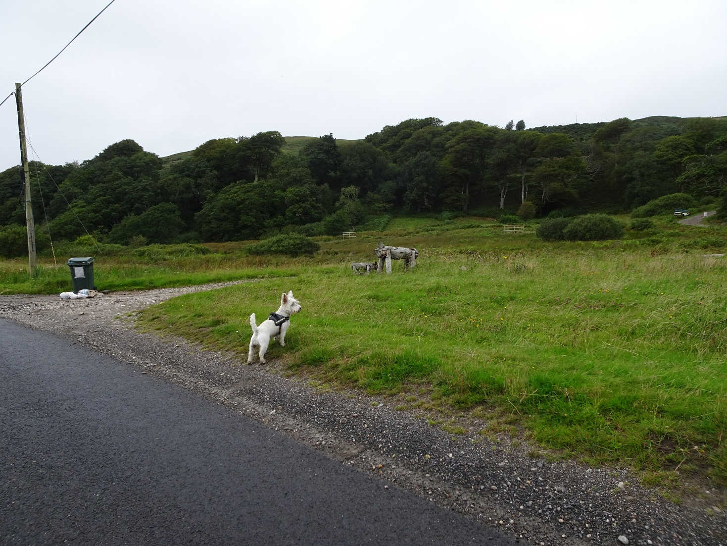 poppysocks checks out wood monsters in argyle