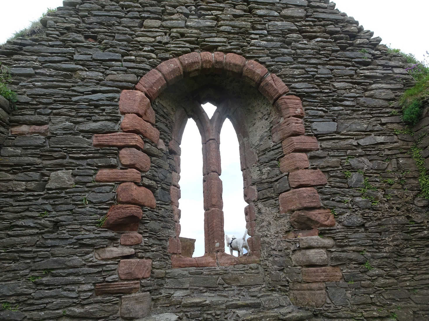 poppysocks in window of old chapel skipness