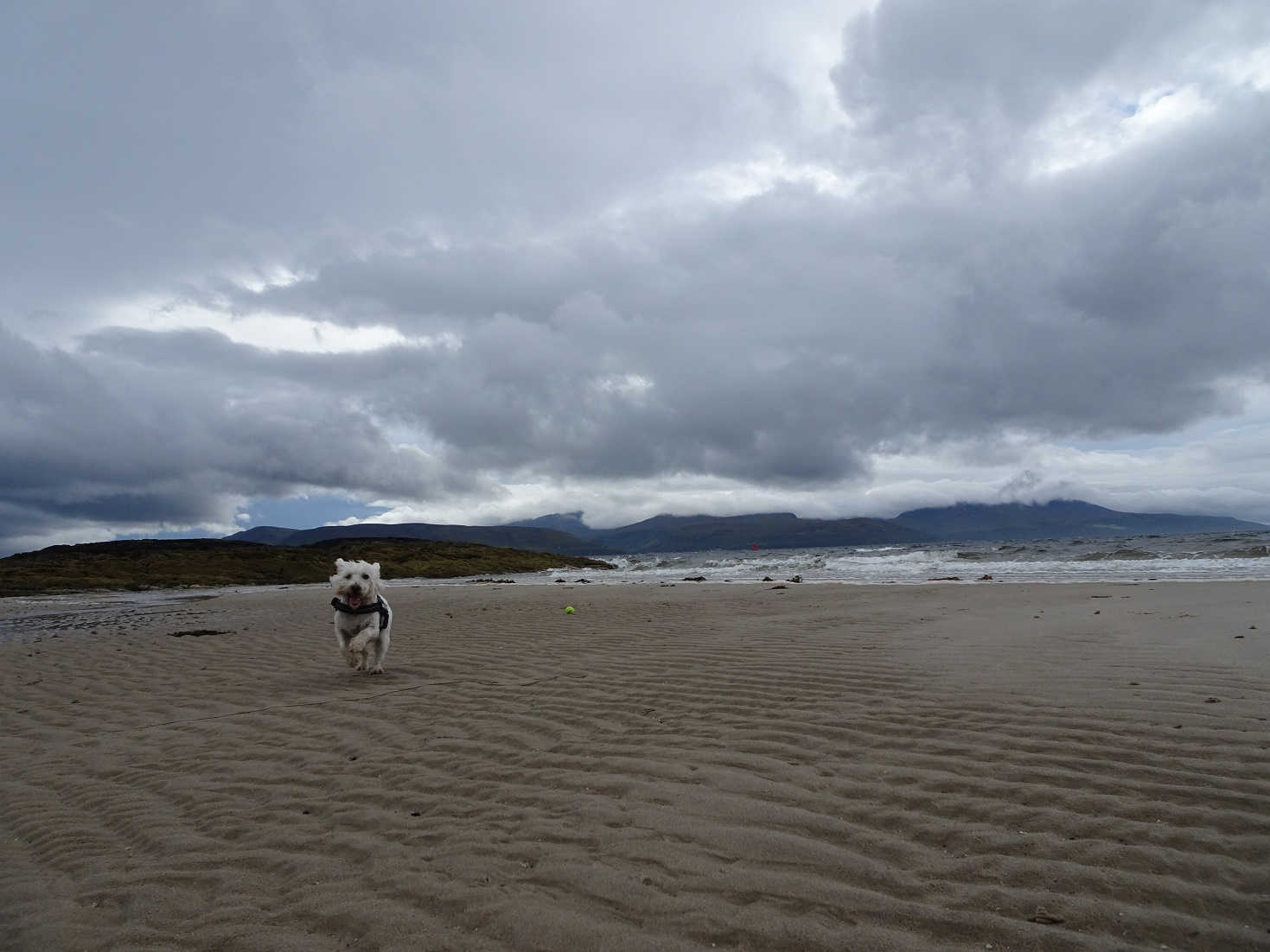 poppysocks on beach at skipness