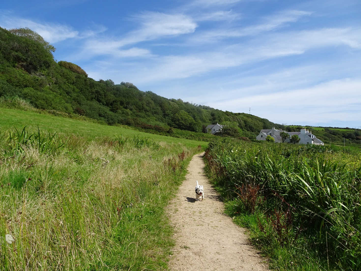 poppysocks on path to seal colony